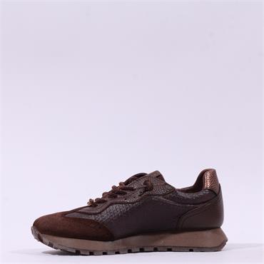 Hispanitas Oregan Bungee Lace Trainer - Espresso Leather